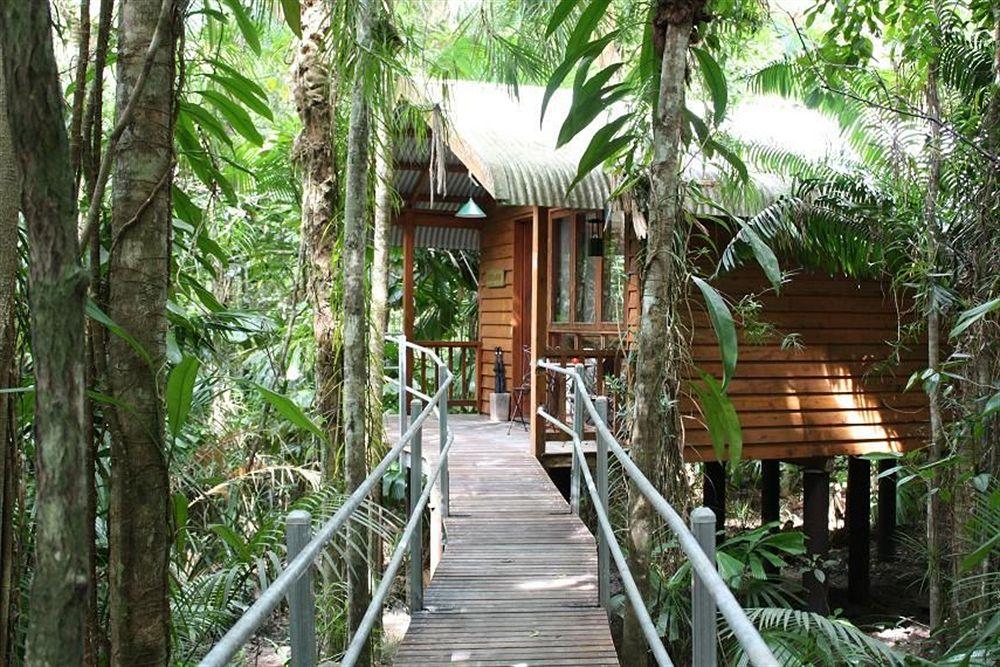 Daintree Wilderness Lodge Exterior photo