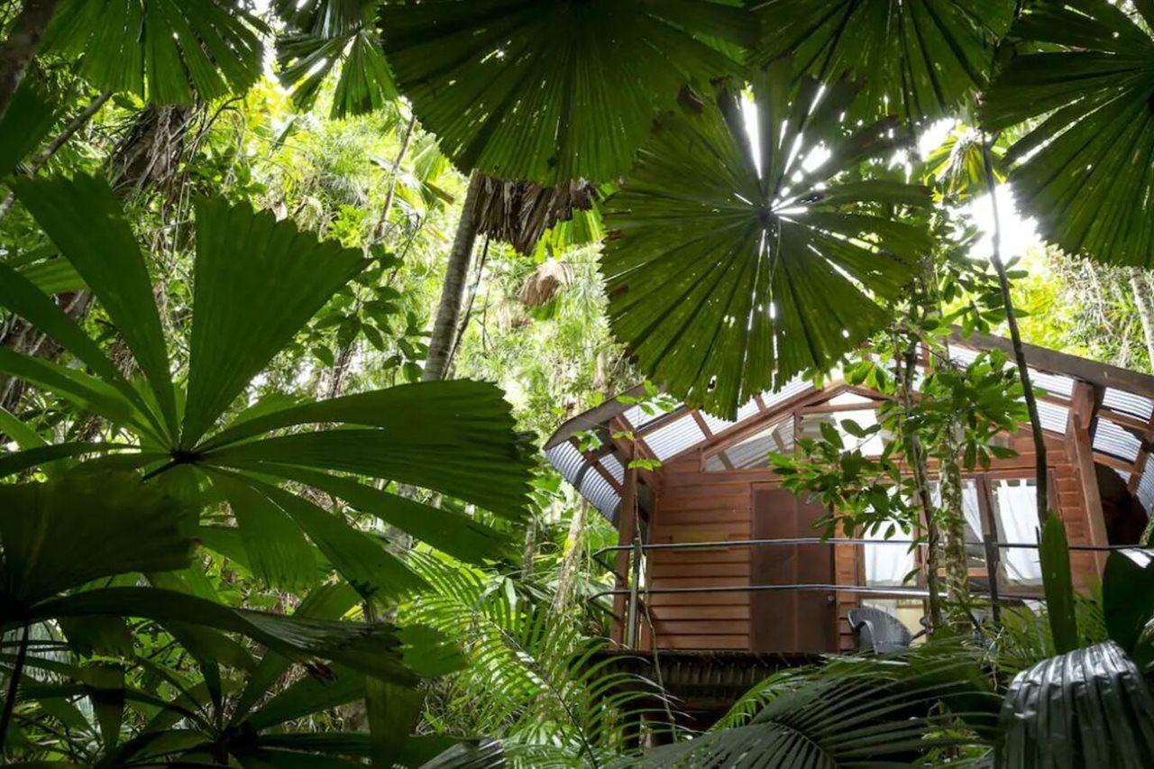 Daintree Wilderness Lodge Exterior photo