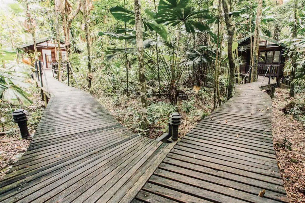 Daintree Wilderness Lodge Exterior photo