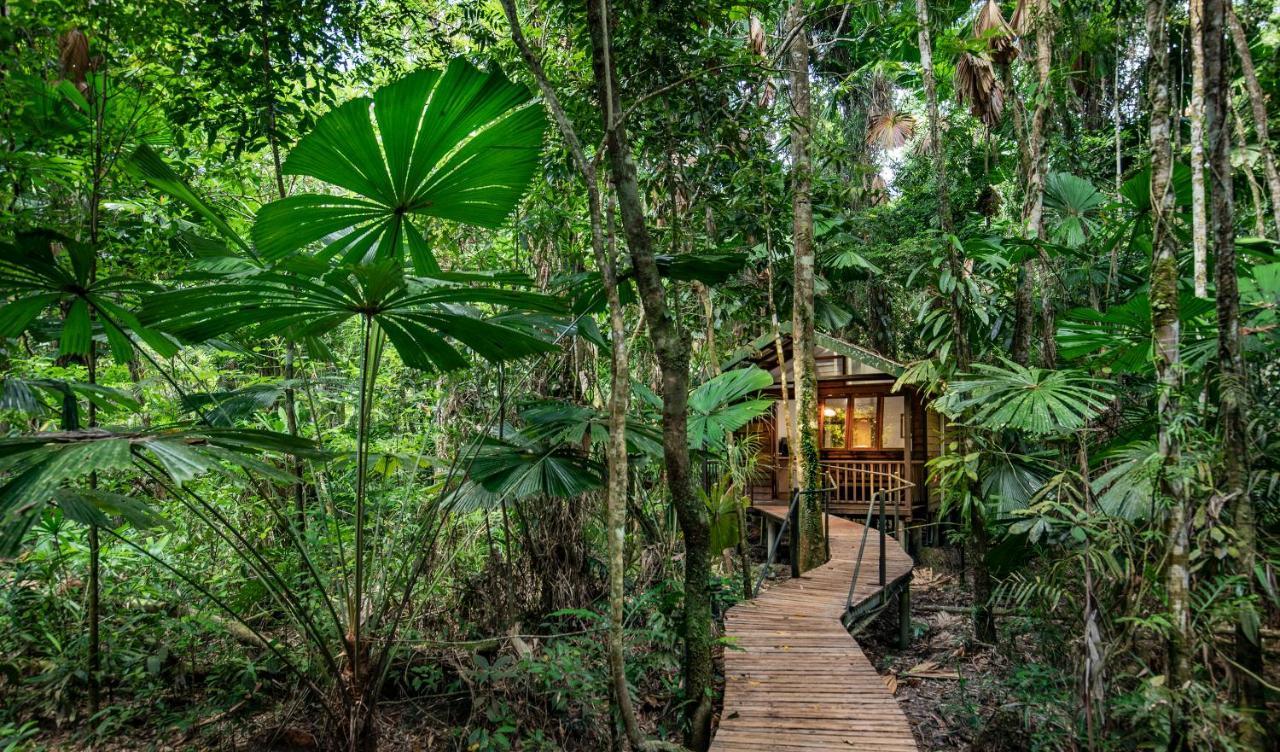 Daintree Wilderness Lodge Exterior photo