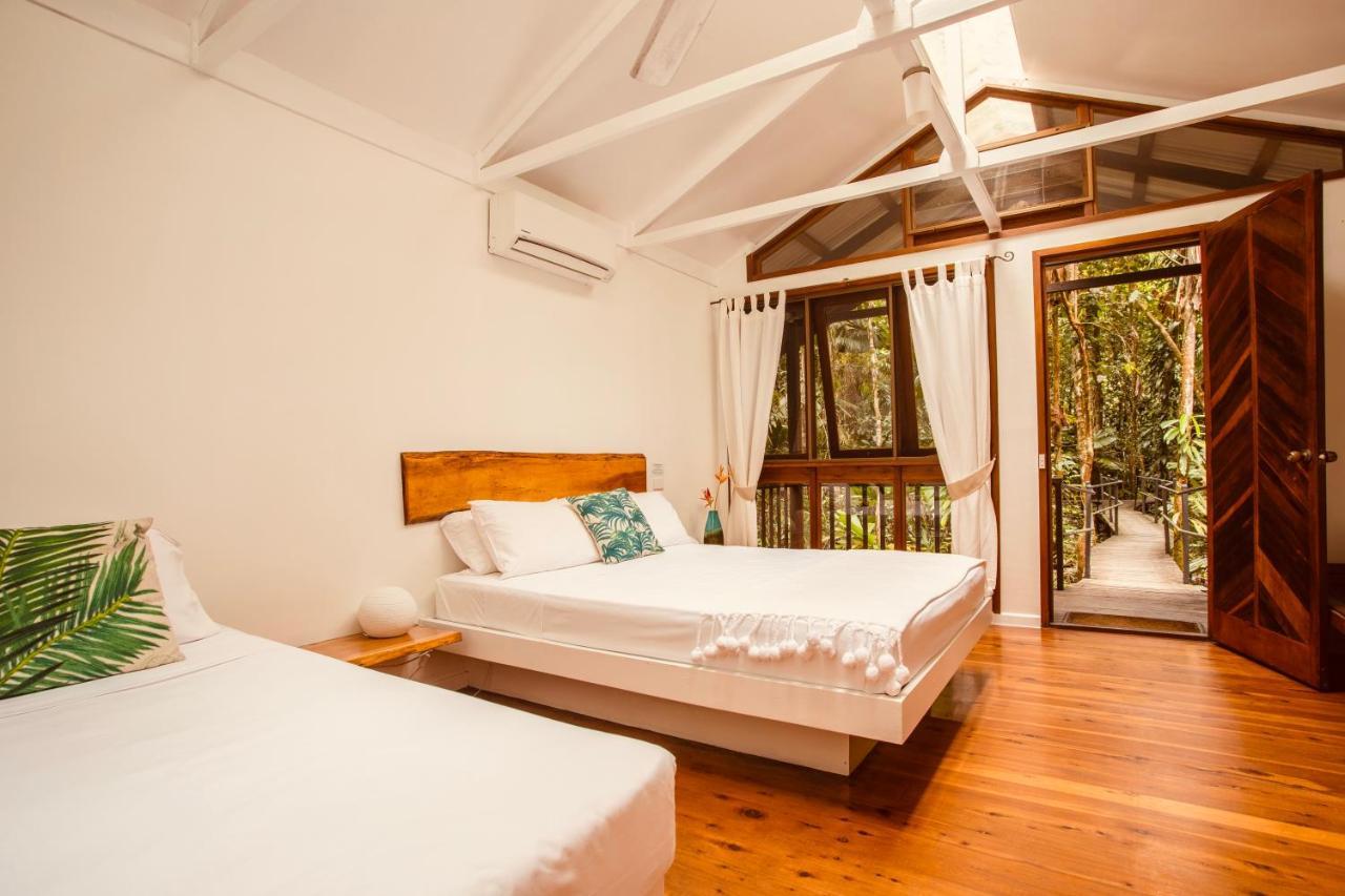 Daintree Wilderness Lodge Exterior photo