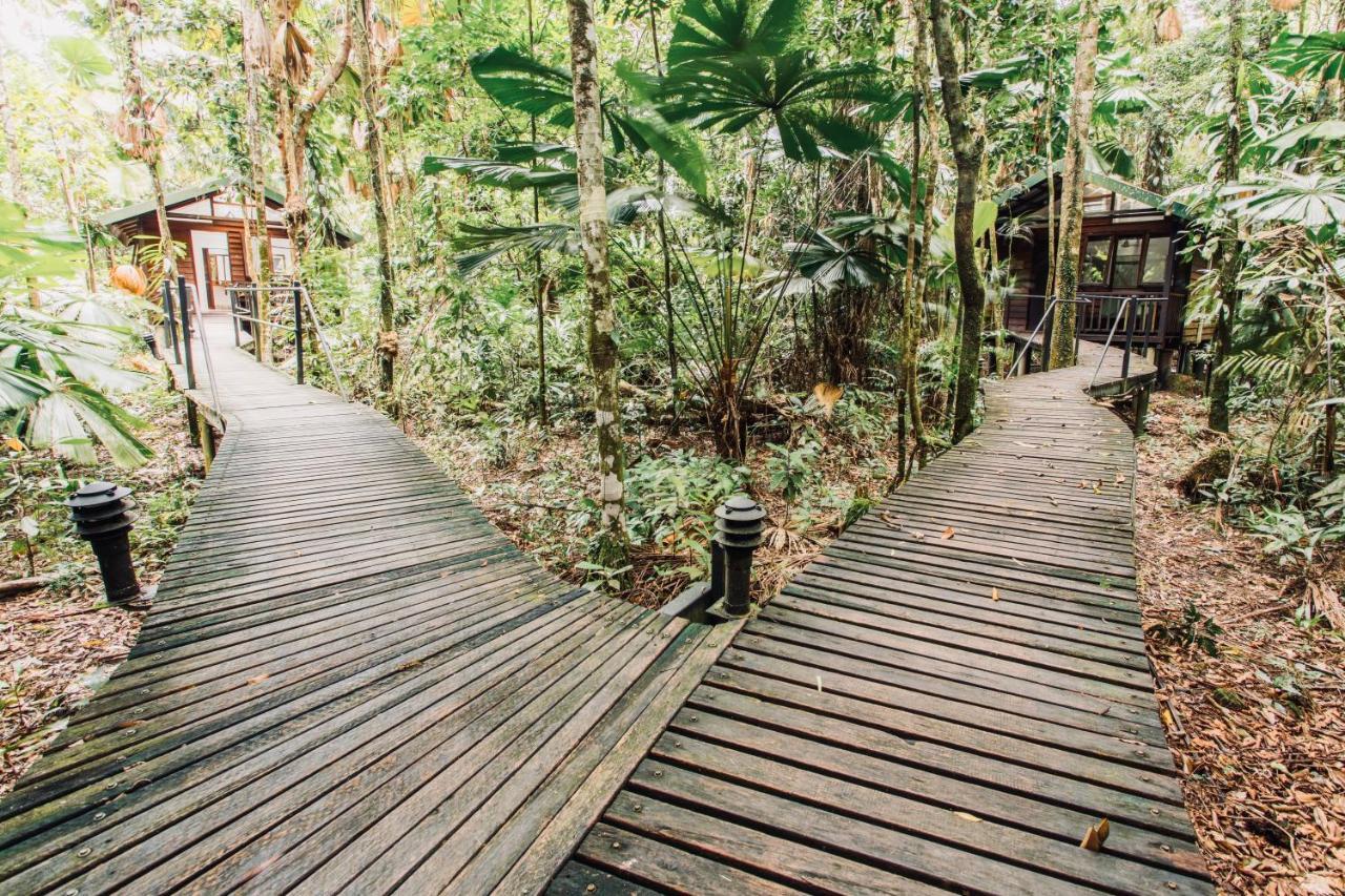 Daintree Wilderness Lodge Exterior photo