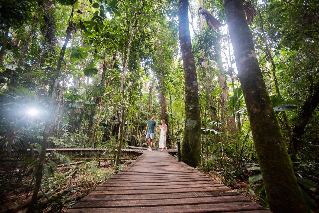 Daintree Wilderness Lodge Exterior photo