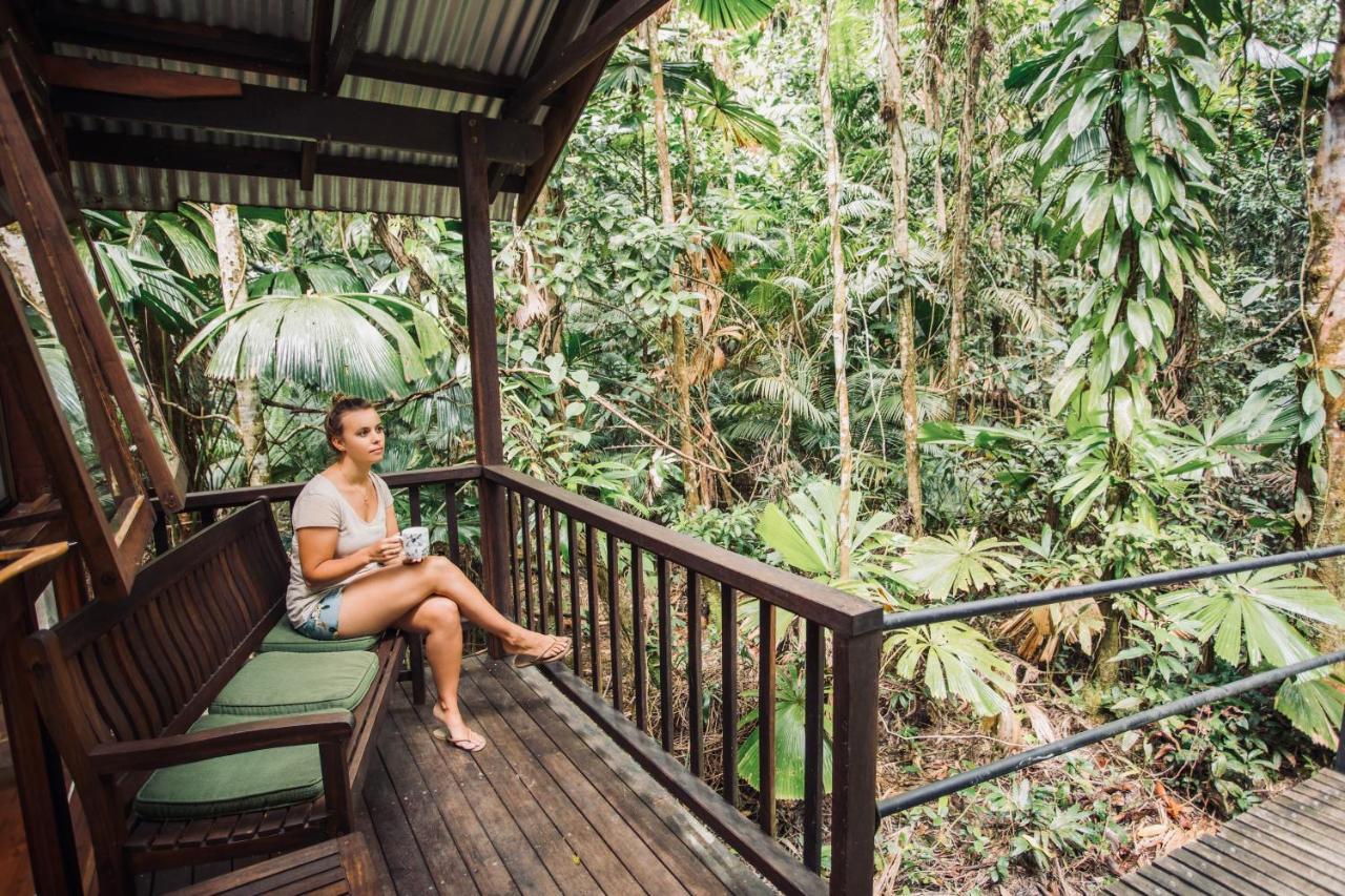 Daintree Wilderness Lodge Exterior photo