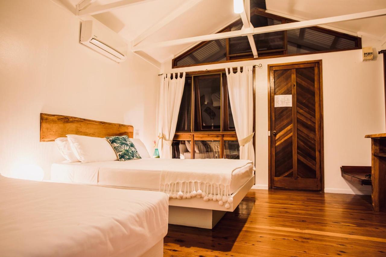 Daintree Wilderness Lodge Exterior photo