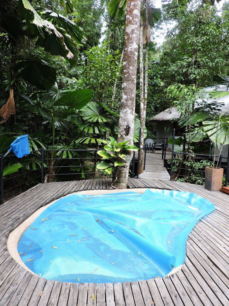 Daintree Wilderness Lodge Exterior photo
