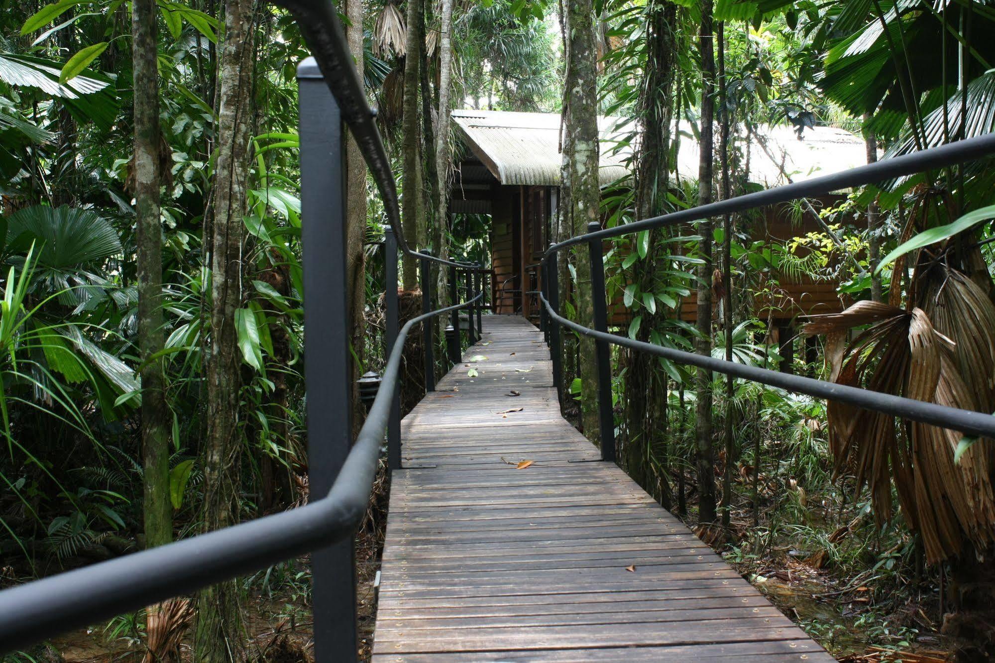 Daintree Wilderness Lodge Exterior photo