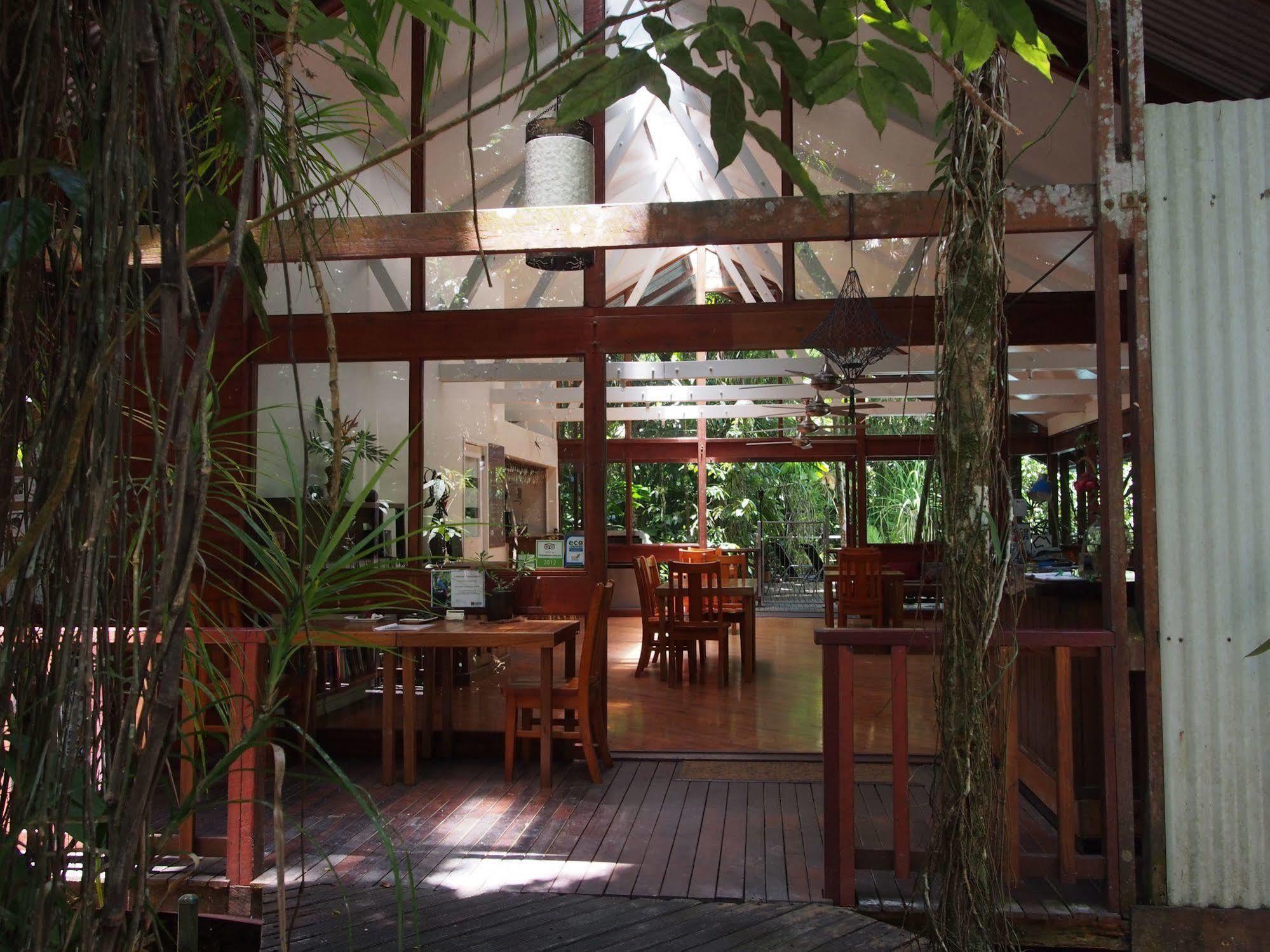 Daintree Wilderness Lodge Exterior photo